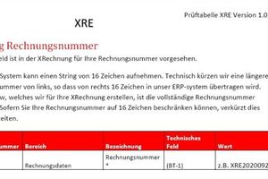  Wichtige Informationen von der Deutschen Bahn zu Pflichtelementen in der XRechnung, hier zur Rechnungsnummer 