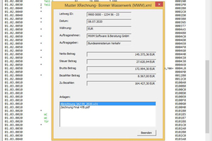  Darstellung einer XRechnung im MWM-Viewer mit Mengenermittlung 