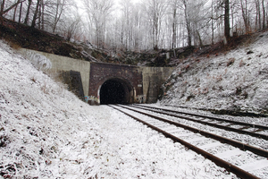  <div class="bildtext">Viele Kunstbauten des deutschen Schienennetzes sind sanierungsbedürftig. Die Bestandsmodellierung stellt dabei eine besondere planerische Herausforderung dar.</div> 